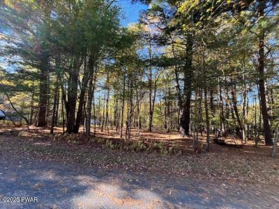 Lot 226 Hound Road, Dingmans Ferry, 宾夕法尼亚州 18328, 美国