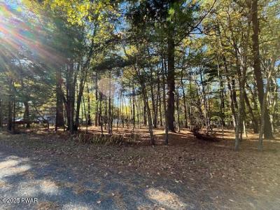 Lot 226 Hound Road, Dingmans Ferry, 宾夕法尼亚州 18328, 美国