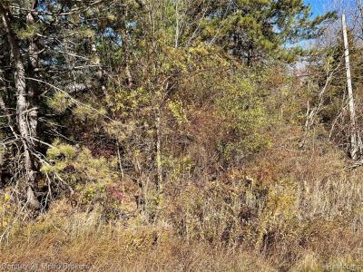 N Corunna Road, Swartz Creek, מישיגן 48473, ארצות הברית של אמריקה 