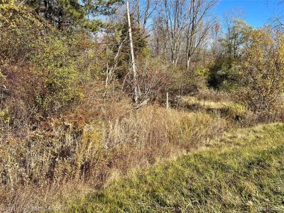 N Corunna Road, Swartz Creek, Michigan 48473, États-Unis