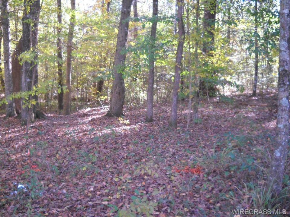 Lot 22 & 23 Pebble Creek Circle, Ozark, Alabama 36360