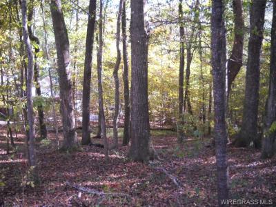 Lot 22 & 23 Pebble Creek Circle, Ozark, Alabama 36360