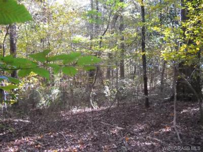 Lot 22 & 23 Pebble Creek Circle, Ozark, Alabama 36360