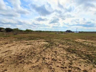 2072 County Road 421, Stockdale, Texas 78160, USA