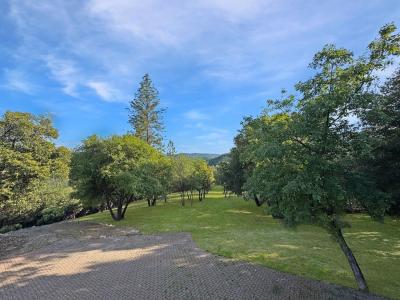 10095 Birchville Road, Nevada City, كاليفورنيا 95959, الولايات المتحدة