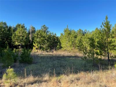 TBD Highway 155, Coushatta, Louisiane 71019, États-Unis