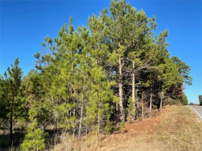 TBD Highway 155, Coushatta, Louisiane 71019, États-Unis