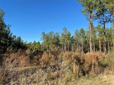 TBD Highway 155, Coushatta, Louisiane 71019, États-Unis