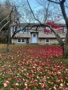 80 School House Road, Wallingford, Connecticut 06492, USA