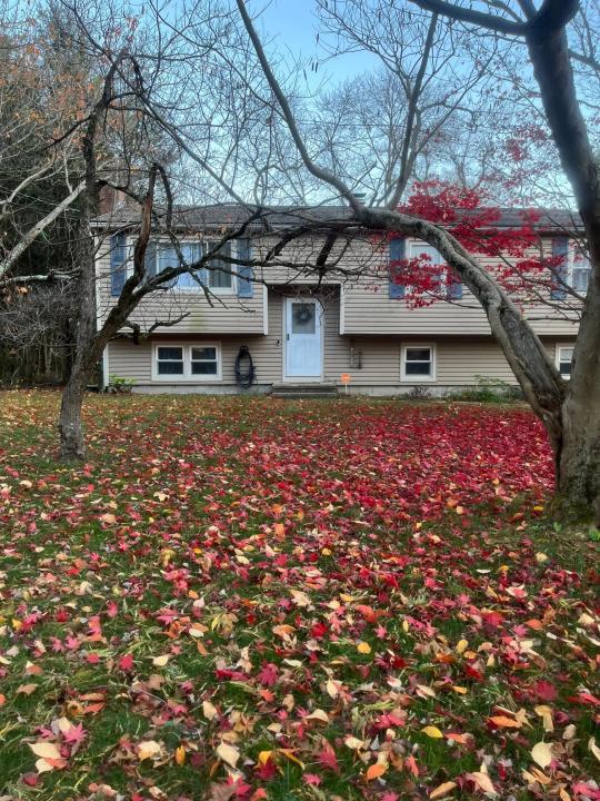 80 School House Road, Wallingford, Connecticut 06492, Estados Unidos