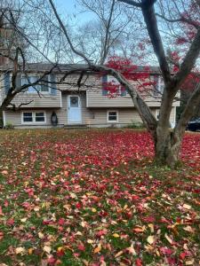 80 School House Road, Wallingford, Connecticut 06492, Estados Unidos