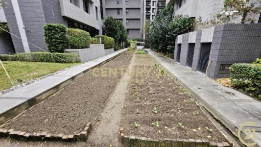 中原段, Xinzhuang Dist., نيو تايبيه 242, تايوان