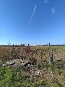 Via Siberie, Sommacampagna, Veneto 37066, Itália