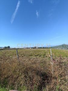 Via Siberie, Sommacampagna, Veneto 37066, Itália