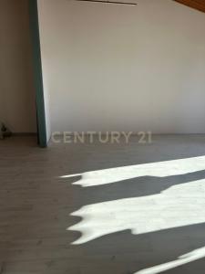 Legnago, Veneto 37045, Italia