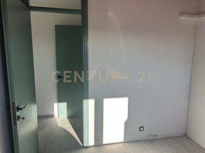 Legnago, Veneto 37045, Italia