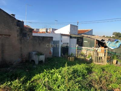 Torres Novas, Santarem 2350-290, Portugal