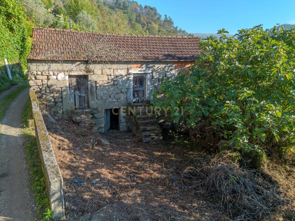 Cinfães, Viseu 4690-220, Portugal