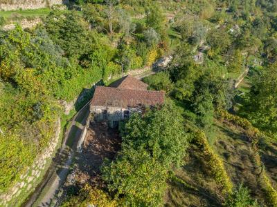 Cinfães, Viseu 4690-220, Portugal