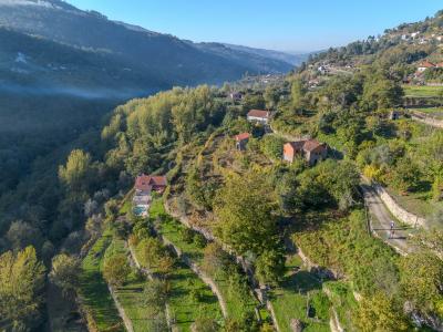 Cinfães, Viseu 4690-220, Portugal