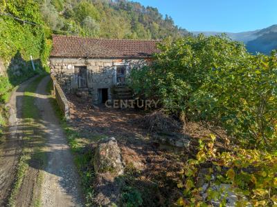 Cinfães, Viseu 4690-220, Portugal
