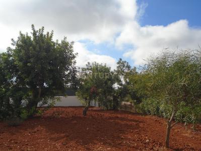 Faro, Faro 8005-436, Portogallo