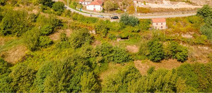 Marco De Canaveses, Porto 4625-223, Bồ Đào Nha