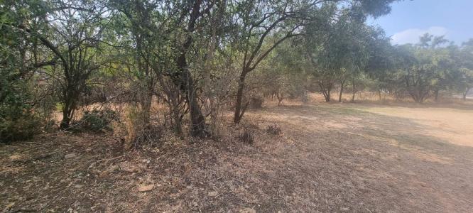 Pretoria, Gauteng, Sudáfrica