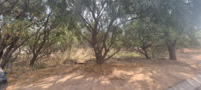 Pretoria, 豪登省, 南非