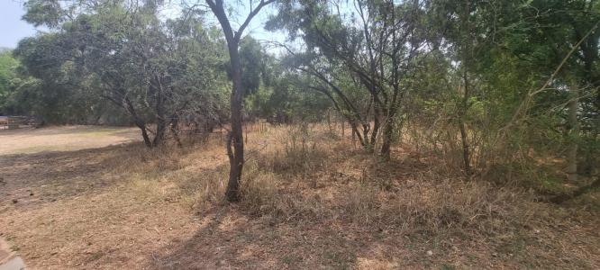 Pretoria, 豪登省, 南非