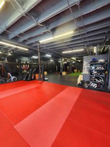 279  Rue Sherbrooke O., Montréal (Le Plateau-Mont-Royal), Quebec H2X 1Y2, Canada