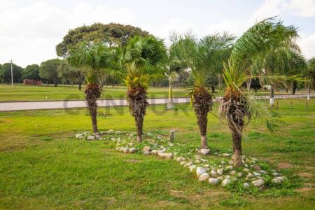 Urubo, Santa Cruz 00001, Bolivia