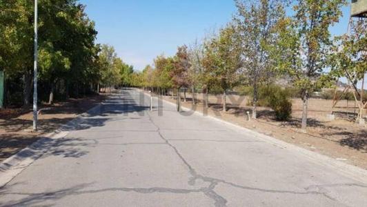 Chacabuco, Región Metropolitana De Santiago 00001, 智利