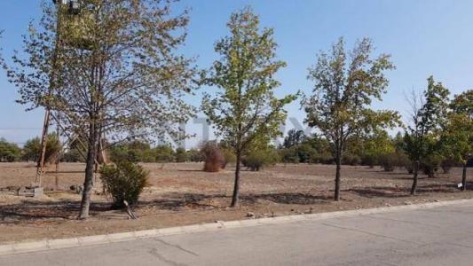 Chacabuco, Región Metropolitana De Santiago 00001, 智利