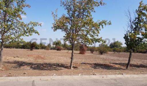 Chacabuco, Región Metropolitana De Santiago 00001, 智利