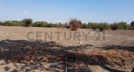 Chacabuco, Región Metropolitana De Santiago 00001, 智利