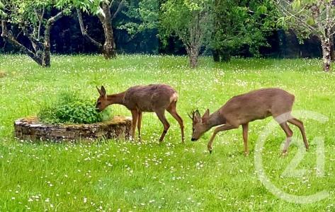 St Armel, Bretagne 56450, France