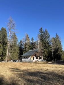 Kranjska Gora, Gozd Martuljek, Kranjska Gora, Gorenjska 4282, Словения