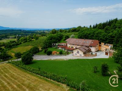 Krško, Brezovska Gora, Krško, Spodnjeposavska 8270, Slovénie