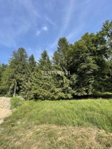 Žirovnica, Vrba, Žirovnica, Gorenjska 4274, Slovenia