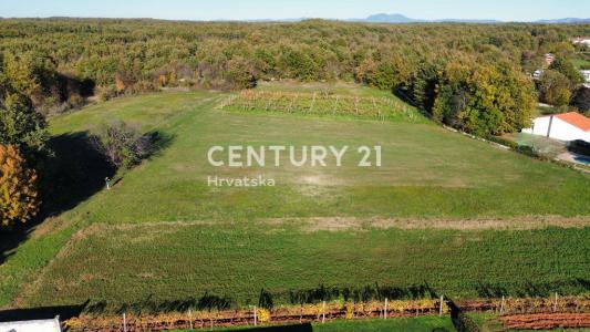 Svetvinčenat, Svetvinčenat, Istarska Županija, Croatia