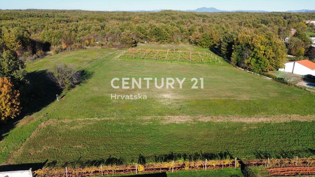 Svetvinčenat, Svetvinčenat, Istarska Županija, 克罗地亚