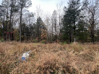 Lot 157 Parrish Ridge Lane, Goreville, Illinois 62939, USA