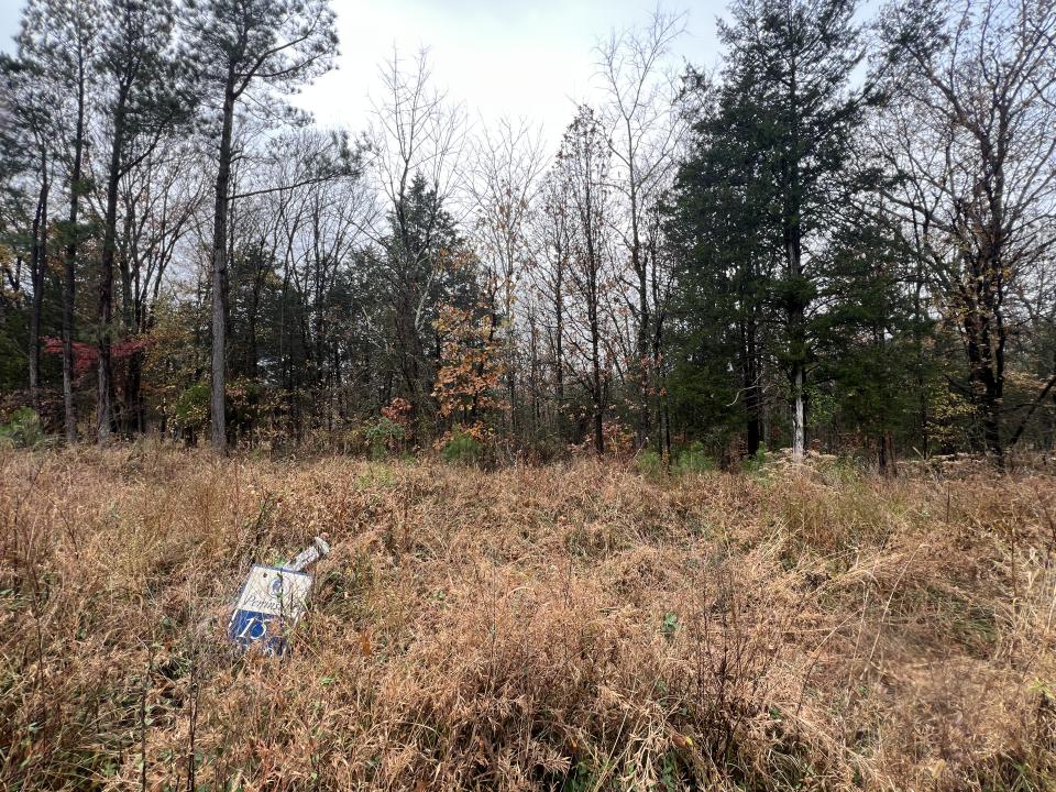 Lot 157 Parrish Ridge Lane, Goreville, Illinois 62939, Estados Unidos