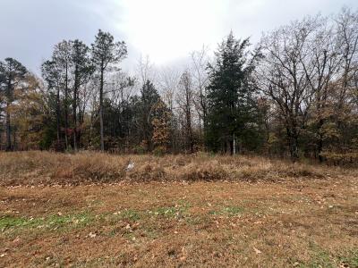 Lot 157 Parrish Ridge Lane, Goreville, Illinois 62939, Estados Unidos
