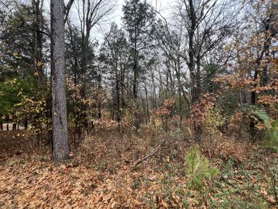 Lot 157 Parrish Ridge Lane, Goreville, Illinois 62939, Estados Unidos