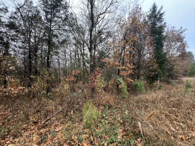 Lot 157 Parrish Ridge Lane, Goreville, Illinois 62939, Estados Unidos
