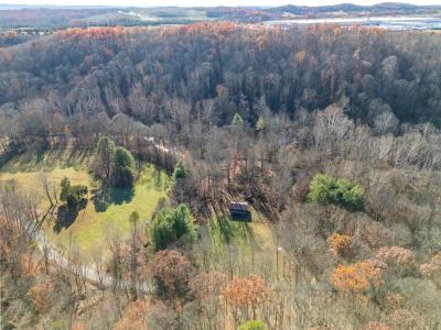 4135 Bullfork Road, Morehead, Kentucky 40351, Stati Uniti