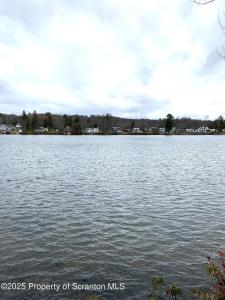 335 South Shore Drive, Thompson, Pennsylvania 18465, USA