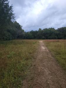 824 Michigan Ave, Pensacola, Floride 32505, États-Unis